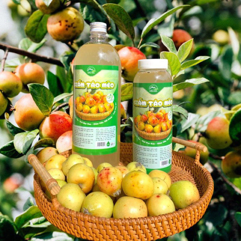 Giấm Táo Mèo 100% Tự nhiên- Chai 500ml