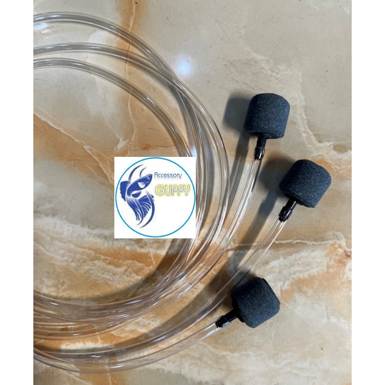 Bộ dây sủi khí ôxy gồm 1m dây và 1 quả sủi siêu mịn