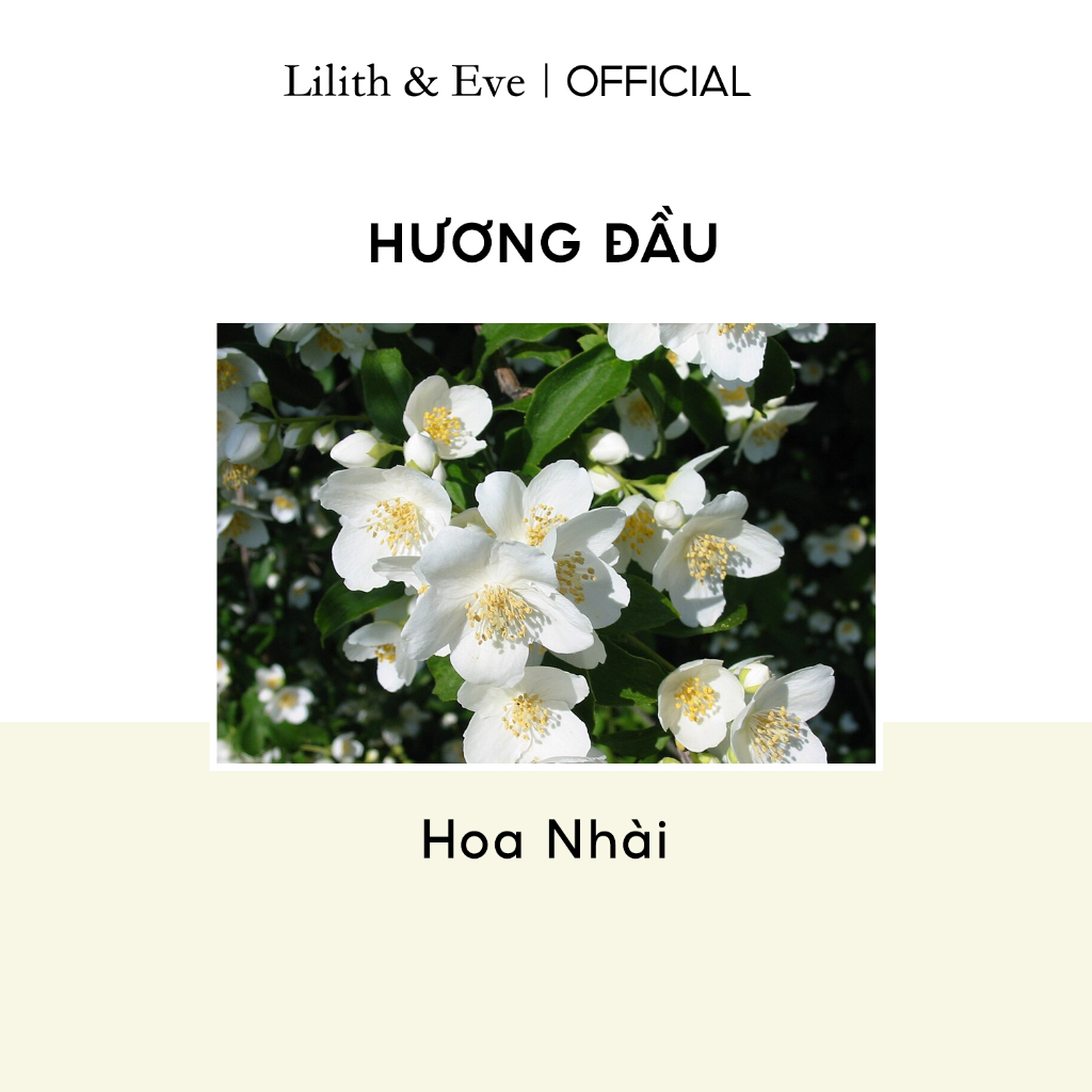 Tinh dầu nước hoa Lilith and Eve Enchantress Perfume Oil 10ml nữ lưu hương lâu dạng lăn mùi hương sang trọng dịu nhẹ và | BigBuy360 - bigbuy360.vn