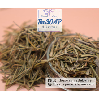 Lá hương thảo khô- Rosemary leaf