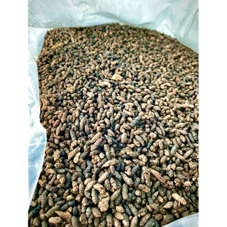 phân dơi nguyên chất túi lẻ nữa ký (500g)
