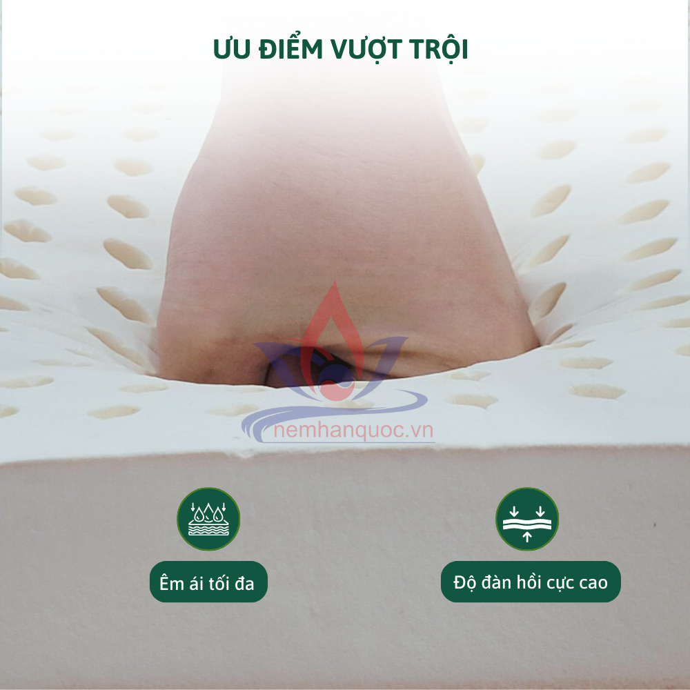 Nệm Cao Su Thiên Nhiên 100% size 1mx2mx̀10cm