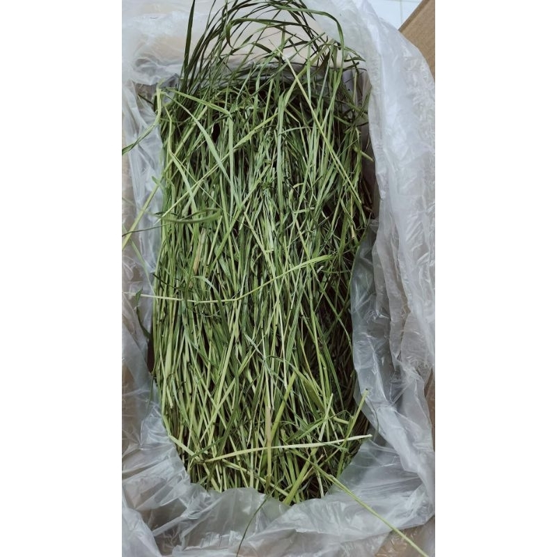 Timothy xanh cao cấp cho thỏ, bọ ú...