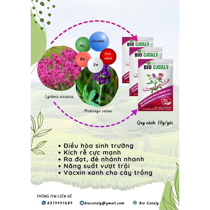 Kích thích sinh trưởng, phục hồi cây suy yếu Bio Cataly 100% sinh học gói 10gr