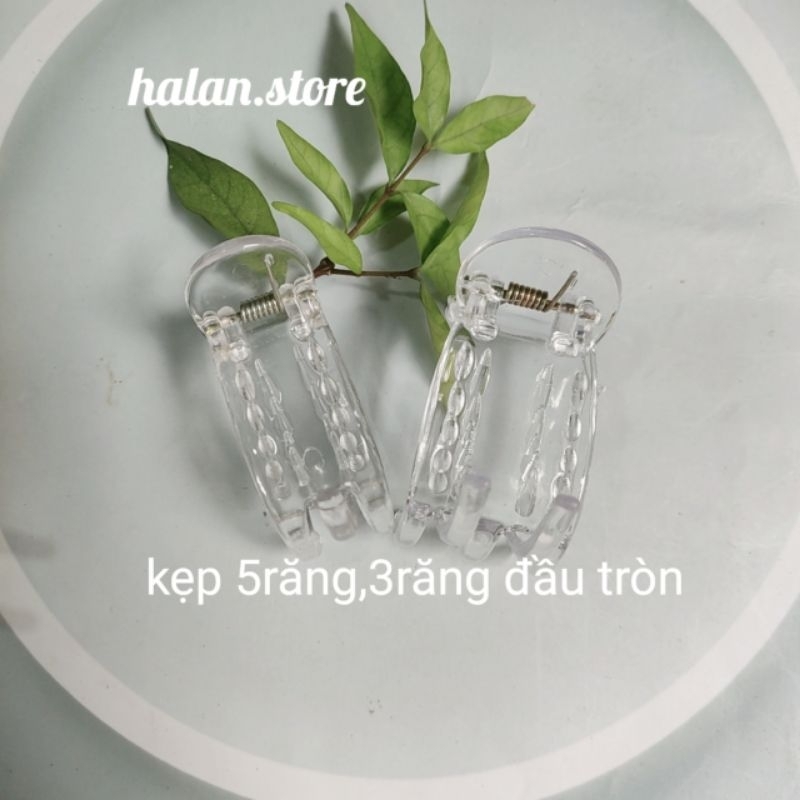 Kẹp càng cua 5răng,3 răng đầu tròn trong suốt hình thật
