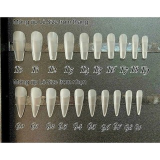 Móng úp nhám thang , móng nhám nhọn lẻ size