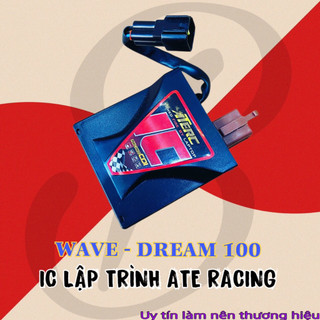 ic lập trình sẵn ATE cho xe Wave, Dream, Cub, 67, Sirus 50, Elegan, Wave a110, Funeo