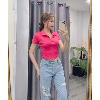 ÁO THUN CỔ BẺ UNIQLO