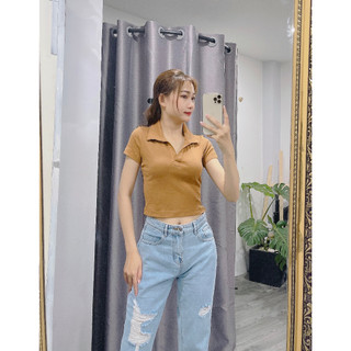 ÁO THUN CỔ BẺ UNIQLO