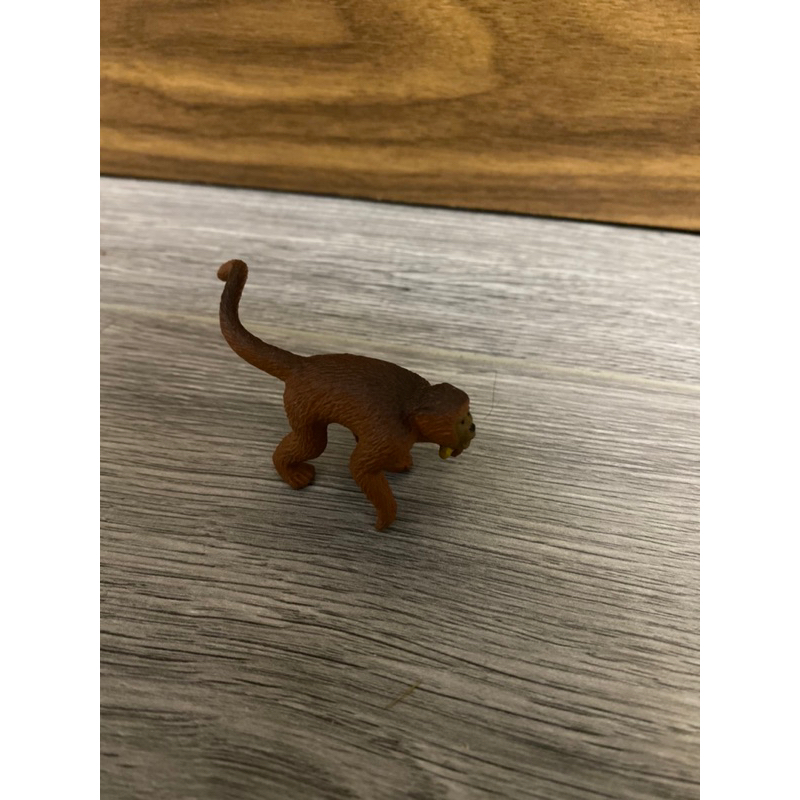 Mô hình đồ chơi động vật safari Capuchin Khỉ thầy tu  chính hãng Safari ntd