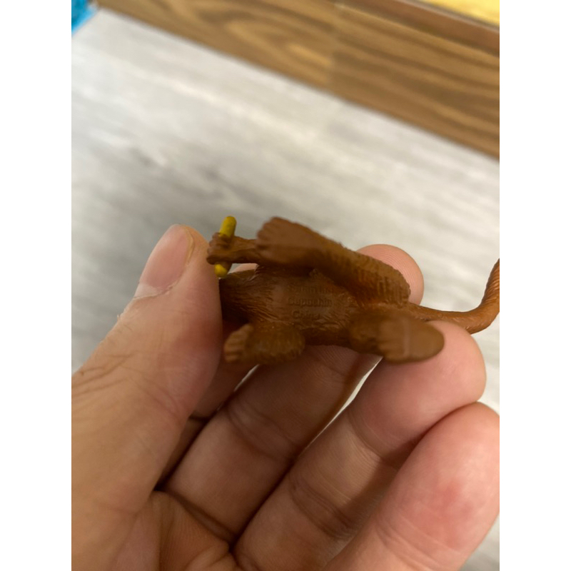 Mô hình đồ chơi động vật safari Capuchin Khỉ thầy tu  chính hãng Safari ntd