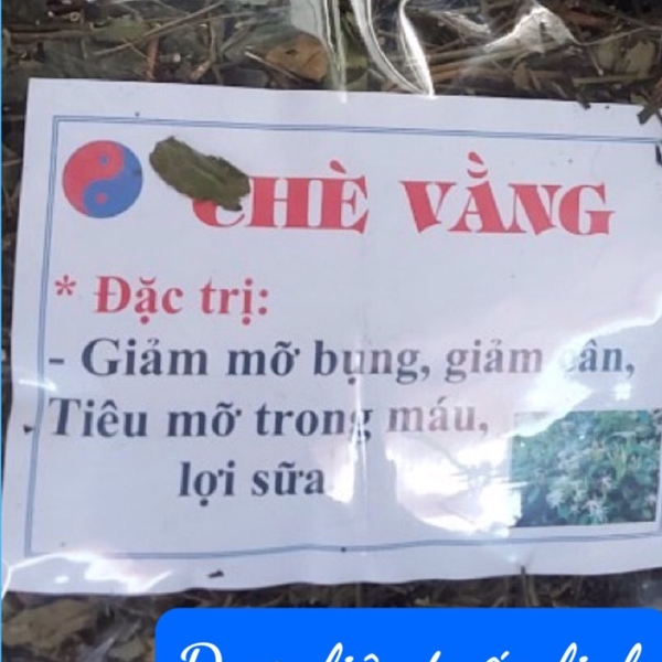 Chè Vằng Sẻ Lợi Sữa Cho Mẹ Sau Sinh Túi 1Kg Chuẩn Rừng Loại 1 Hỗ Trợ Giảm Cân