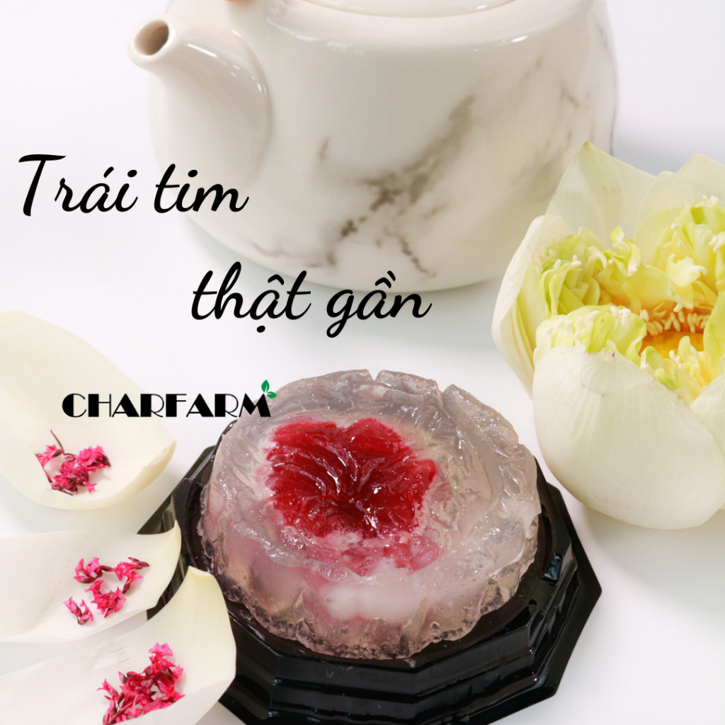 Set bột Trong veo làm bánh Charfarm 10 bánh Handmade