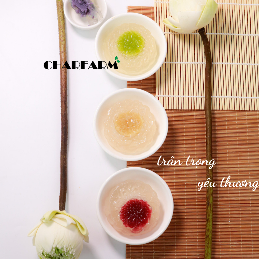 Set bột Trong veo làm bánh Charfarm 10 bánh Handmade