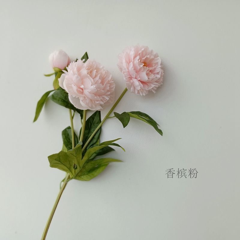 Hoa mẫu đơn phấn Grado decor trang trí phòng khách