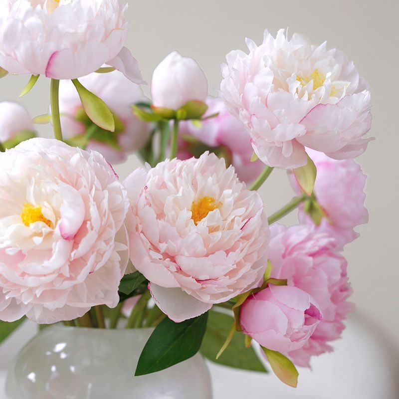 Hoa mẫu đơn phấn Grado decor trang trí phòng khách