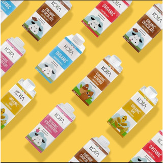 Sữa tươi hữu cơ vị dâu Koita - 200ml