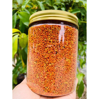 Phấn hoa mật ong rừng cực kì hiếm