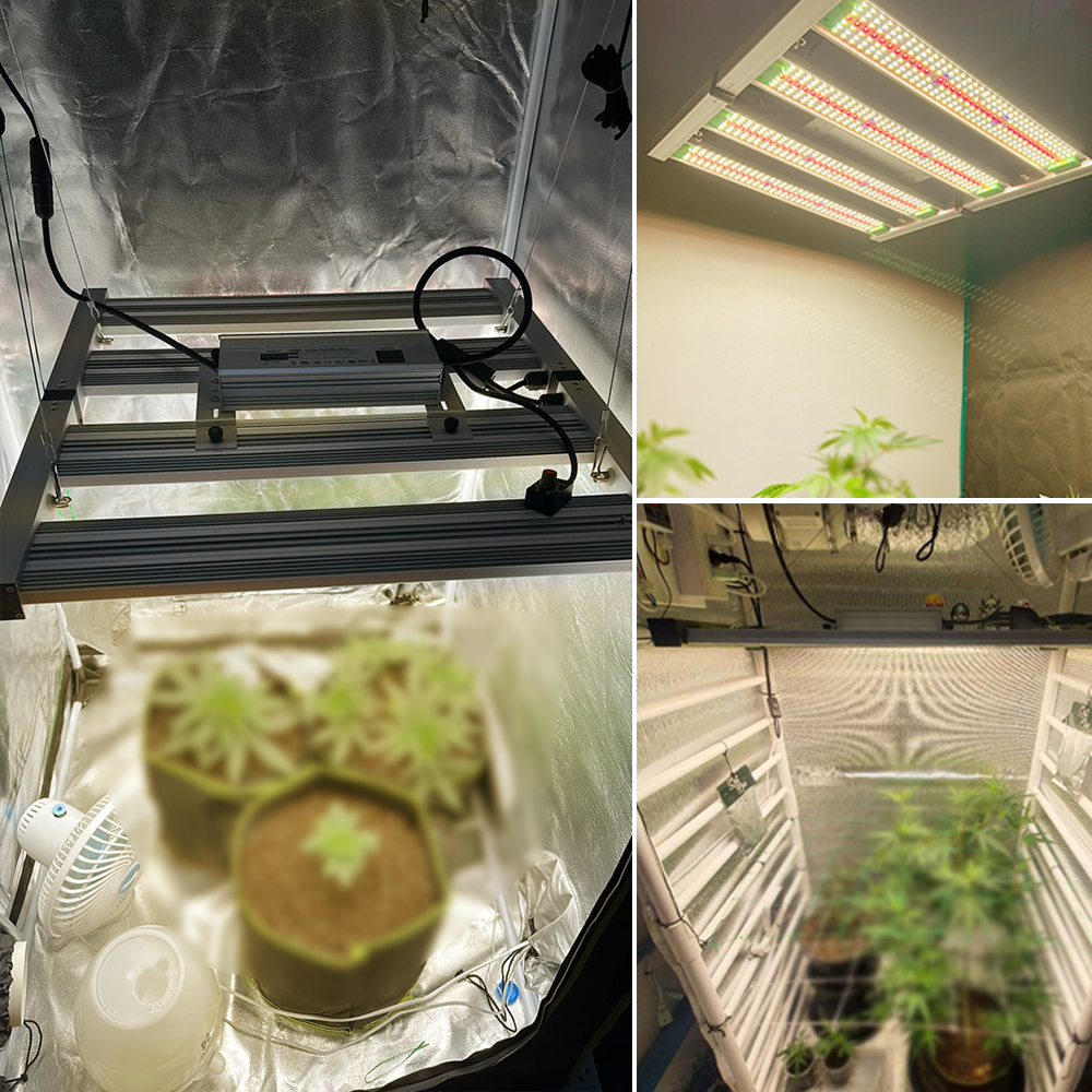 240W 320W Full Spectrum Frame LED Grow Light Bars Samsung LM301H& OSRAM LED Phyto Đèn Cho Cây Trong Nhà Hoa Rau Thủy Can