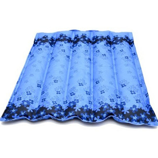 Đệm nước mát Thiên Thanh 75x90cm