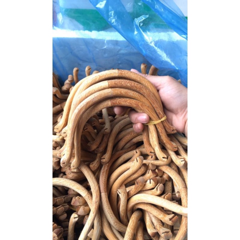 Cầu góc tre già, tròn dành cho lồng chào mào