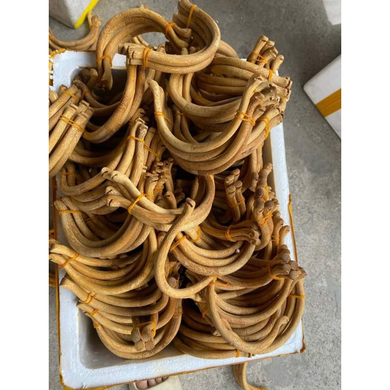 Cầu góc tre già, tròn dành cho lồng chào mào