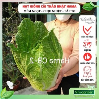 Gói 2gr (400 hạt) Hạt giống bắp cải thảo Nhật Hama giống nhập Đồng Tâm ruột vàng bắp to đẹp ăn mềm ngọt