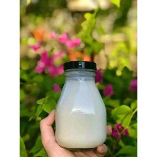 Chai Thủy tinh vuông lùn 300ml-500ml