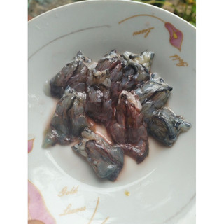 ĐẦU TÔM SÚ TƯƠI 1kg (giao tphcm)