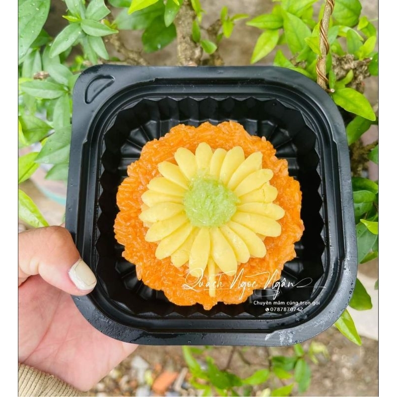 50 hộp ht12 trắng và đen