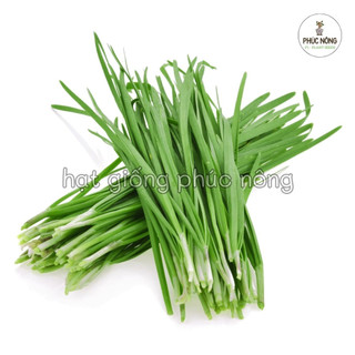 1gr - (Hỏa tốc) Hạt giống Hẹ lá nhỏ (Hẹ sẻ)