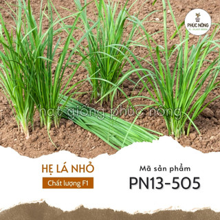 - Hạt giống Hẹ lá nhỏ