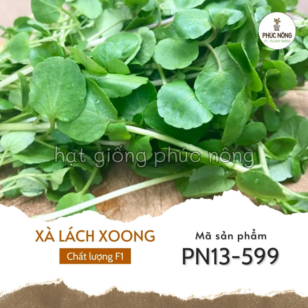Hạt giống Xà Lách Xoong - 400 Hạt