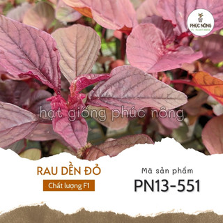 Hạt giống rau dền đỏ - 20 gram