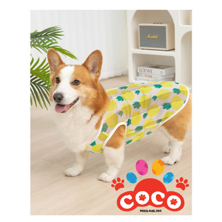 Áo cho chó lớn size từ 8- 38kg thoáng khí mát mẻ