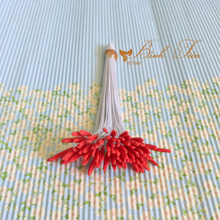 NHỤY HOA TULIP ( 1 BÓ 95- 100 CÁI)