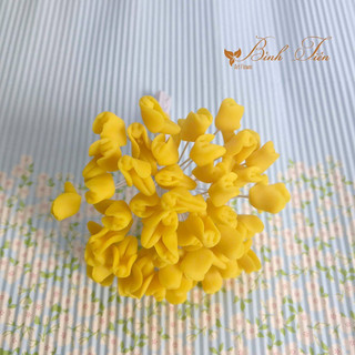 NHỤY LAN ( 1 BÓ 25 CÁI)