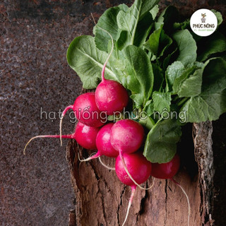 Hạt giống Củ Cải Đỏ Tròn - 2 Gram