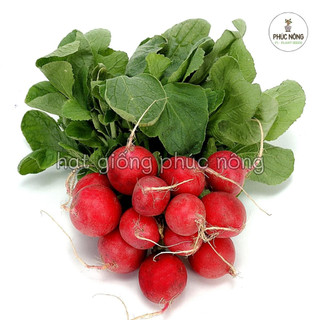 Hạt giống Củ Cải Đỏ Tròn - 2 Gram