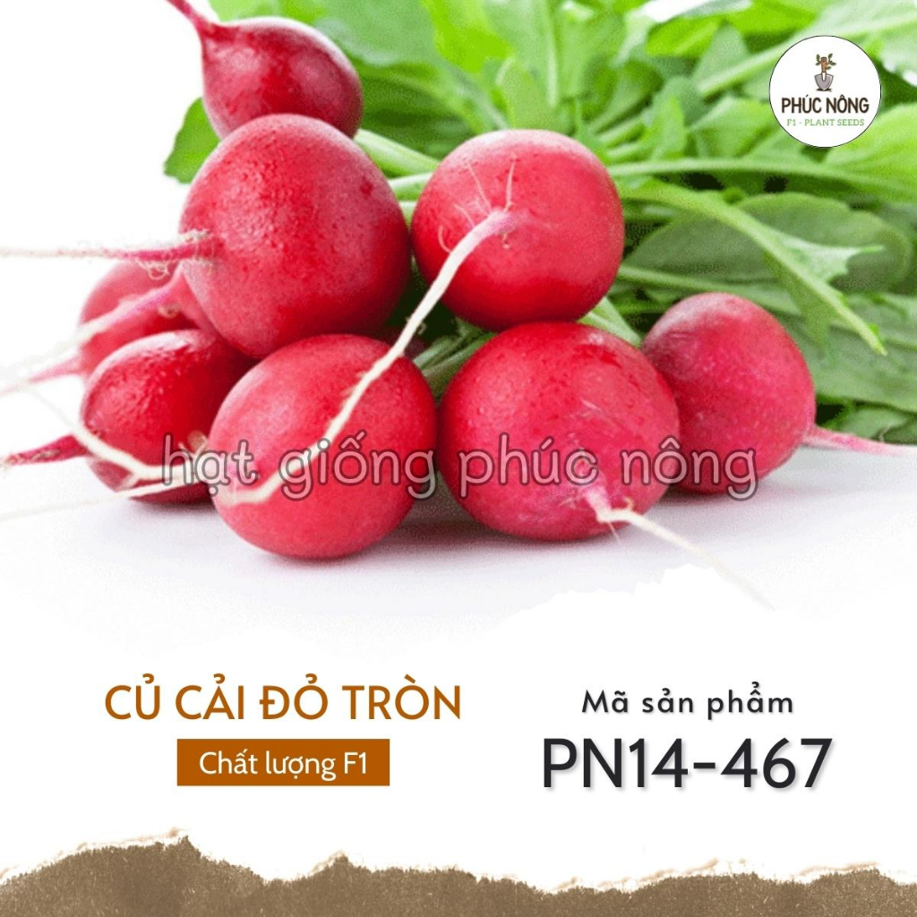 Hạt giống Củ Cải Đỏ Tròn - 2 Gram