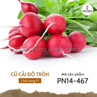 Hạt giống củ cải đỏ tròn - 2 gram