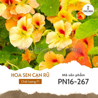 Hạt giống hoa sen cạn rũ - 15 hạt