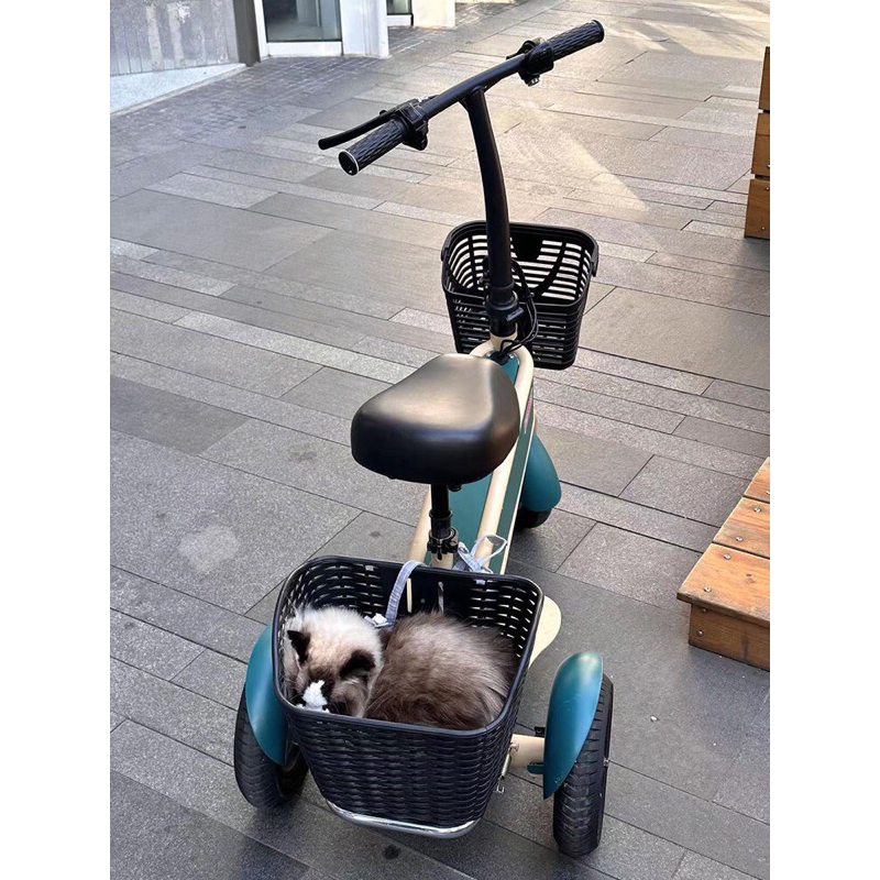 Xe Điện SCOOTER 3 bánh 36V