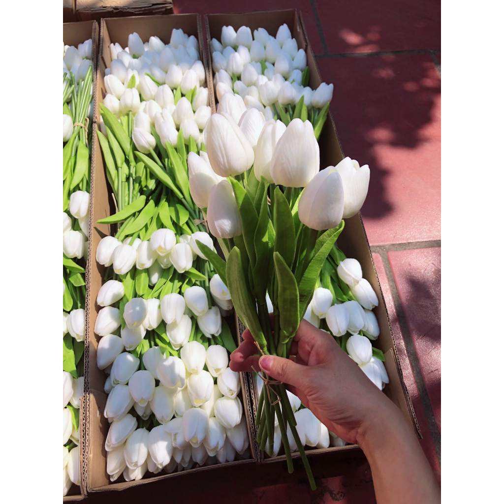 Tuylip cao su bó 10 cành cao 30cm giá tốt nhất