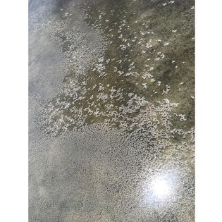 MUỐI TRE HẠT BAMBOO SALT 100G - Muối biển tự nhiên - Hầm trong ống tre- Mặn dịu ngọt hậu- Dạng hạt lấp lánh