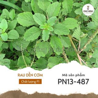 Hạt giống rau dền cơm - 5 gram