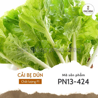 Hạt giống cải bẹ dún - 20 gram