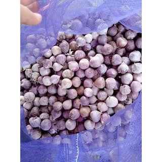 500g tỏi cô đơn.