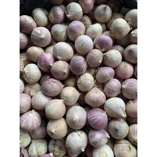 500g tỏi cô đơn.