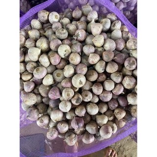 500g tỏi cô đơn.